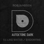 Cover: RobJanssen - Endorfine