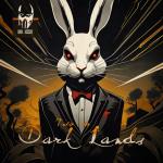 Cover: Nanostorm - Into The Dark Lands