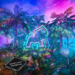 Cover: Dropgun Samples: BYOR Tech House - Watch Me