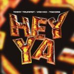 Cover: Timmy Trumpet - Hey Ya