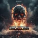 Cover: Routter - I Just Wanna Know