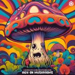 Cover: Luminatix &amp; BearWithBeanie - High On Mushrooms