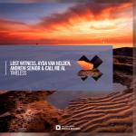 Cover: Lost Witness - Timeless