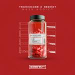 Cover: Technikore - Bass Addict