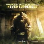 Cover: The Smiler - Never Surrender