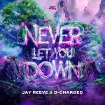 Cover: Jay Reeve - Never Let You Down