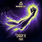 Cover: Ziggy X - PWR