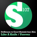 Cover: Driftmoon vs Geert Huinink feat. Kim - Forever