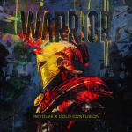 Cover: Cold Confusion - Warrior