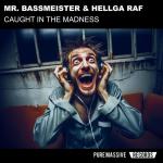 Cover: Mr. Bassmeister - Caught In The Madness