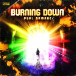 Cover: Dual Damage - Burning Down