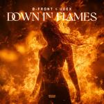 Cover: B-Front - Down In Flames
