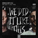 Cover: Drokz - We Did It Like This
