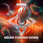 Cover: Nino Lucarelli - Never Coming Down