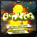 Cover: Joey Riot - Sound Of Silence (Frontliner Remix)