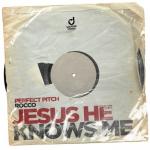 Cover: Perfect Pitch - Jesus He Knows Me