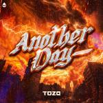 Cover: Toza - Another Day