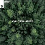 Cover: Jurgen Vries feat. Shena - Wilderness