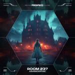 Cover: Anamorphic - Room 237
