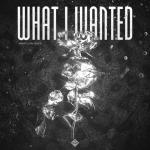 Cover: Mandy Jones House Vocals Vol. 1 - What I Wanted
