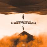 Cover: D-Block - U Are The High