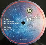 Cover: B Key - The Martian Surface
