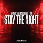 Cover: Sneijder - Stay The Night