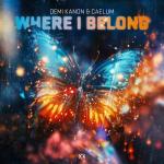 Cover: Demi Kanon - Where I Belong