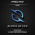 Cover: Alpha Detox - At Night (Hard Nights Anthem)