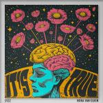 Cover: Nora Van Elken & Syzz - It's True