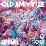 Cover: VIZE - Angel