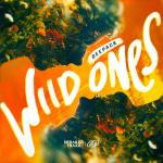 Cover: Deepack - Wild Ones