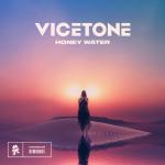 Cover: Vicetone - Honey Water