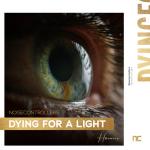 Cover: Noisecontrollers - Dying For A Light