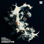Cover: flowanastasia - Stereotype