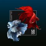 Cover: The Upbeats - Bloodstream
