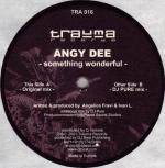 Cover: Angy Dee - Something Wonderful (Original Mix)