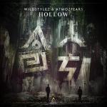 Cover: Wildstylez - Hollow