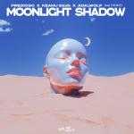 Cover: Ninkid - Moonlight Shadow