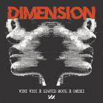 Cover: Vini Vici &amp; Liquid Soul &amp; Omiki - Dimension
