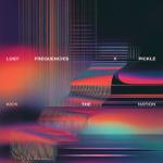 Cover: Lost Frequencies - Kick The Nation