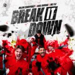 Cover: Dual Damage - Break It Down