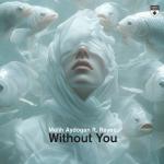 Cover: Melih Aydogan ft. Rayne - Without You