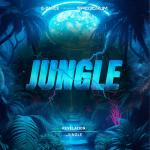 Cover: Revelation - Jungle
