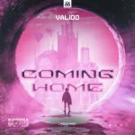 Cover: Valido - Coming Home