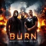 Cover: Radical Redemption - Burn