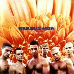 Cover: Rammstein - Laichzeit