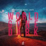 Cover: Perfect Pitch - World Gone Dark