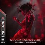 Cover: Dropgun Samples: ARCANDO: Vocal Future Pop 3 - Never Knew (You)