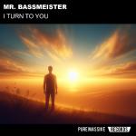 Cover: Mr. Bassmeister - I Turn To You